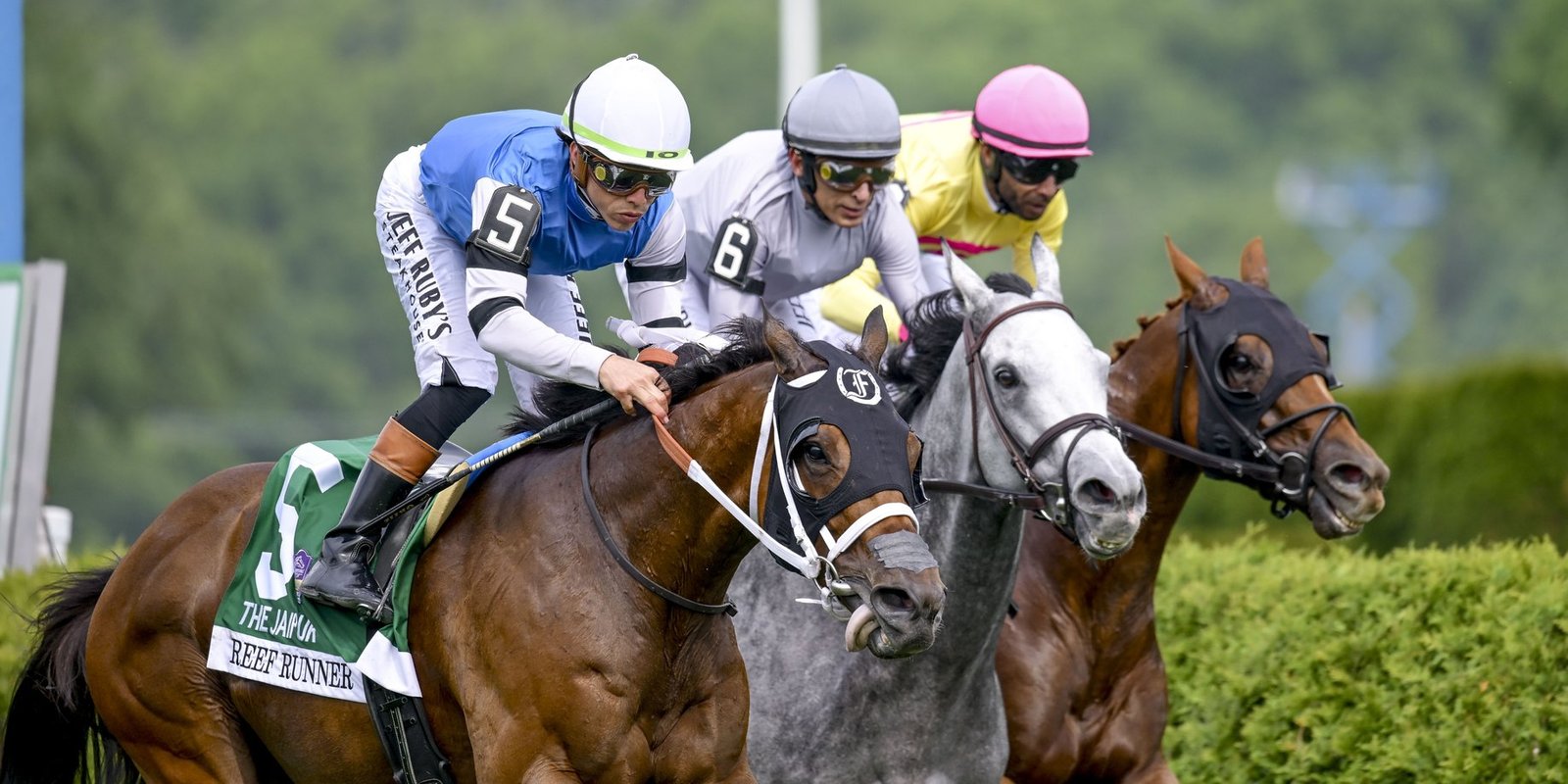 Thoroughbreds racing neck and neck