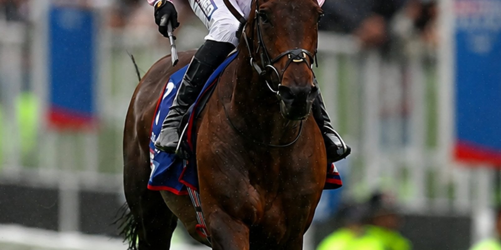 A jockey driving a horse to the line